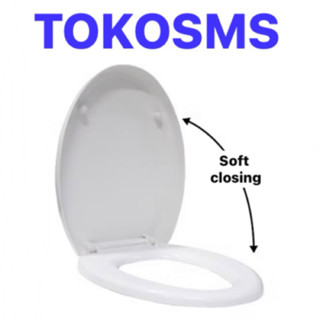 Toto 一件式軟關閉馬桶蓋軟蓋封閉式短寬青蛙