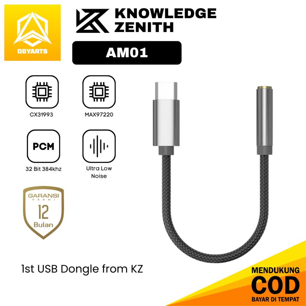 Kz AM01 USB DAC AMP CX31993 MAX97220 USB Type-C 轉插孔 3.5mm 加密