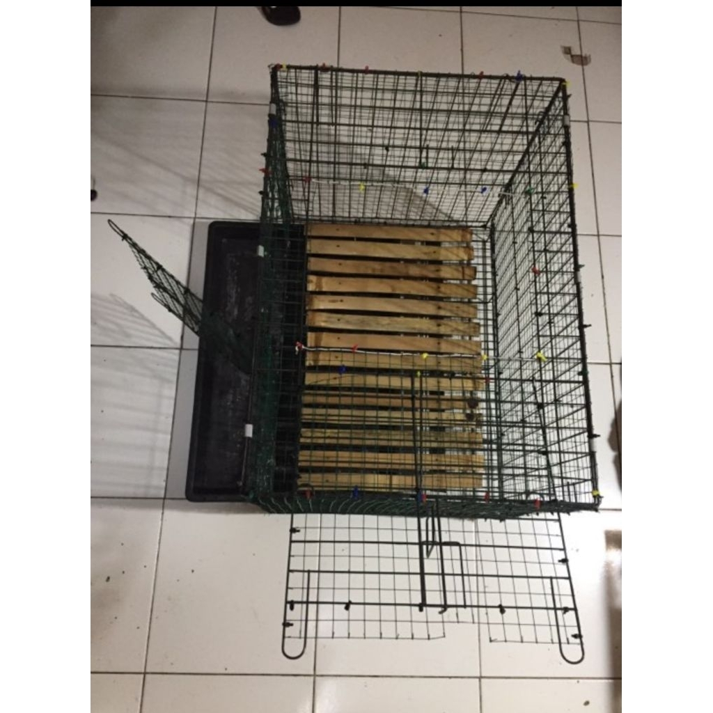 二手折疊鐵籠尺寸 L 60cm x W 42cm x H 50cm