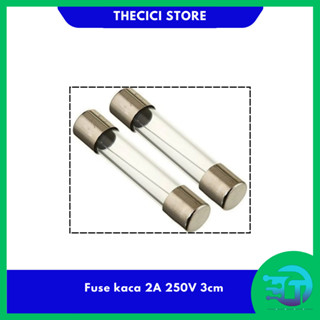 大管保險絲 6x30 mm 玻璃保險絲 2A 250V 3cm
