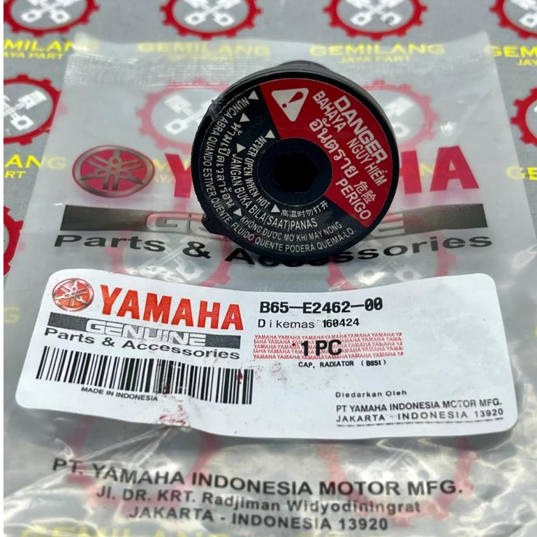 山葉 B65-e2462-00 原裝 Yamaha NMax Aerox Lexi 散熱器蓋罩