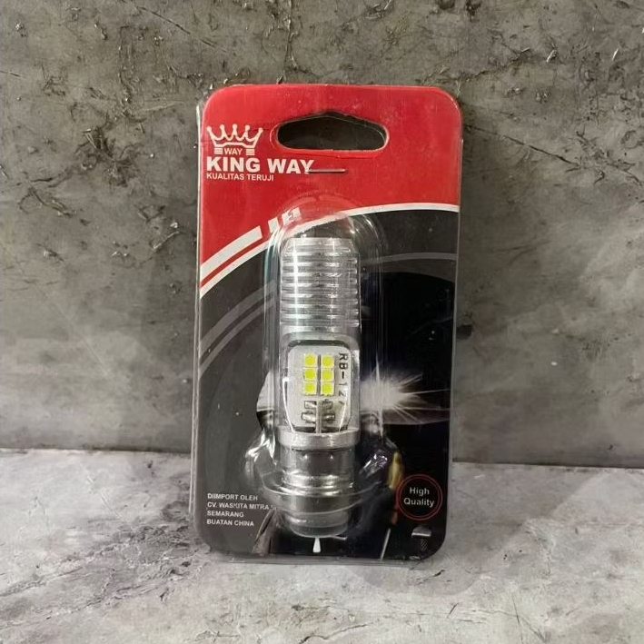 T19 大摩托車 LED 大燈燈泡和自動