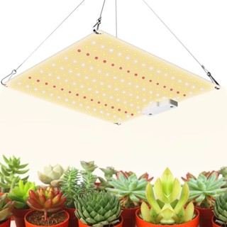全光譜 LED 植物燈量子板生長燈歐盟插頭用於室內蔬菜和花朵植物燈溫室燈 Growlight 花卉多肉仙人掌生石花多肉仙