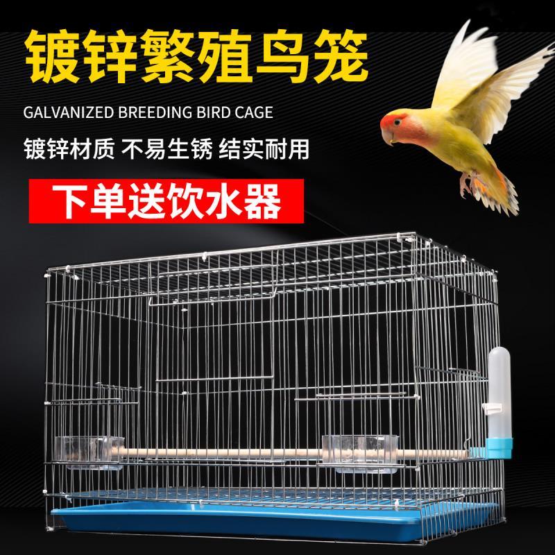 臺灣熱賣 虎皮鸚鵡鳥籠中大型電鍍八哥牡丹玄鳳鍍鋅加粗養殖金屬繁殖鳥籠子