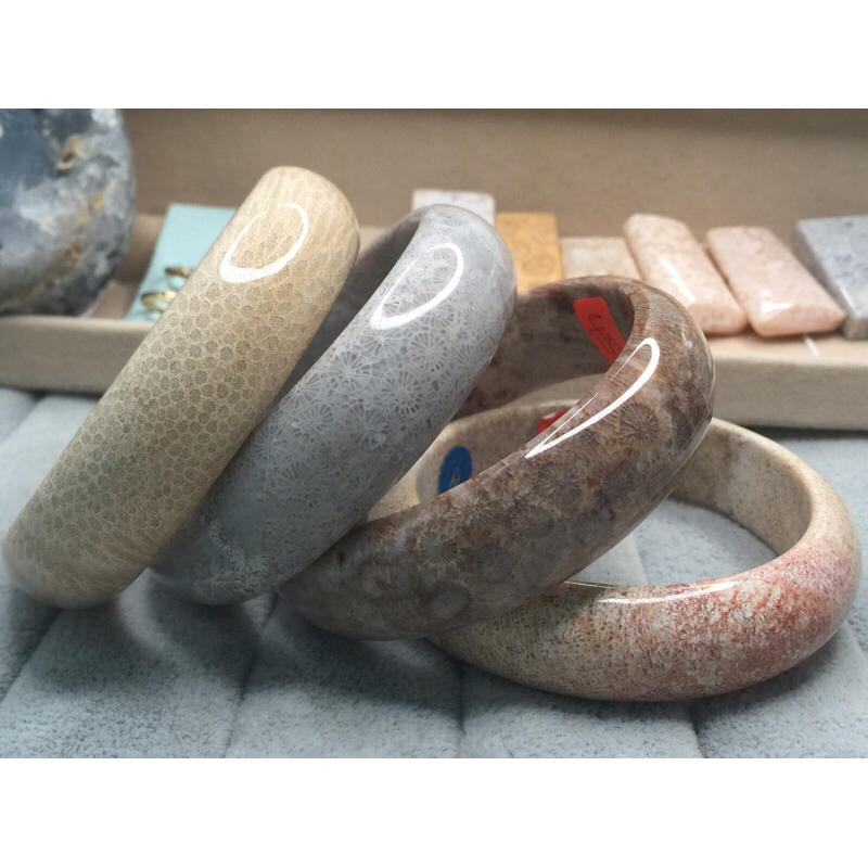 FOSSIL 💥天然鍍鋅化石珊瑚手鐲天然精品珊瑚玉手鐲