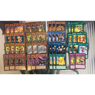 遊戲王 BLVO 武裝龍套裝 Yu-Gi-Oh 武裝龍雷