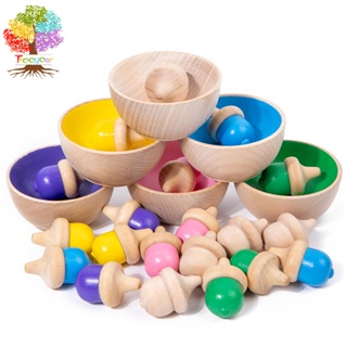 【樹年】蒙氏木製兒童顏色趣味分類杯套裝多功能夾珠計數遊戲認知配對玩具