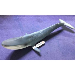 德國思樂schleich海洋動物模型 海洋生物14806藍鯨玩具兒童節禮物