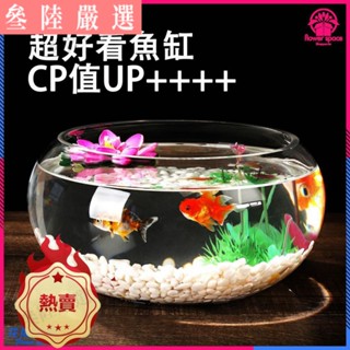 叄陸金魚缸 厚玻璃 桌麵小魚缸 圓形烏龜缸 初始龜缸 迷你小型魚缸 水族箱 圓形魚缸 球型水族缸 養魚植栽專用缸 圓 H