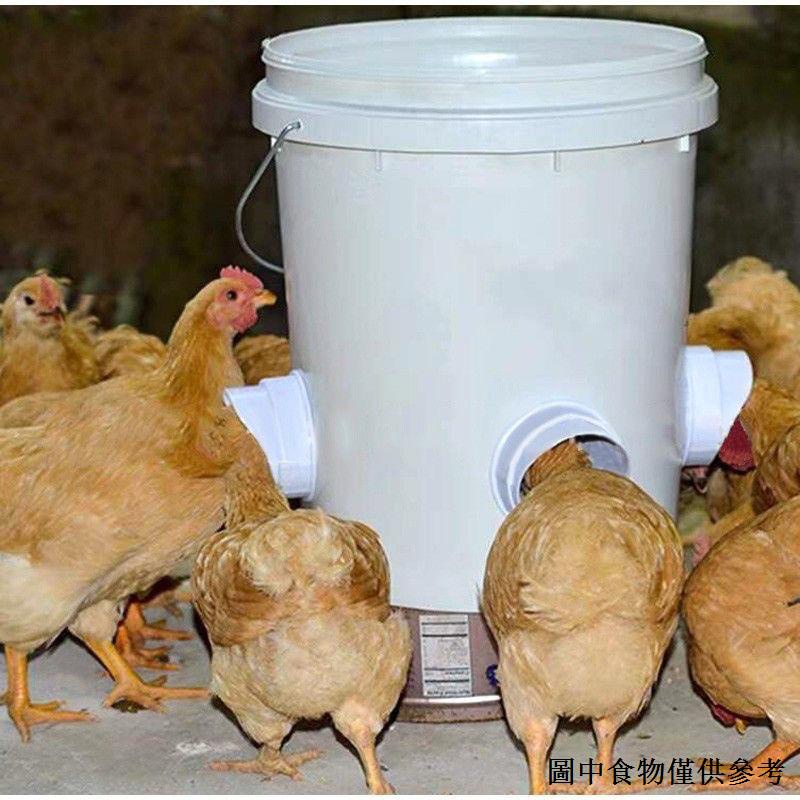 （家禽飼料桶） 新款雞鴨鵝自動下料器餵食器家禽喂料桶重力餵食器雞食槽料槽