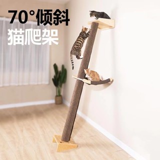 【工廠直供】🔥🔥免運 70度斜角 貓爬架 貓跳臺 貓窩貓樹一體 貓架 貓爬柱 貓咪用品 貓通天柱 貓跳板 寵物玩具