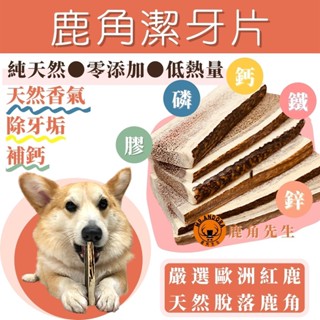🚩自然系寵物潔牙🚩【鹿角先生】中大型犬適用 歐洲進口 天然鹿角潔牙片｜寵物潔牙｜狗狗磨牙｜狗狗玩具｜柯基