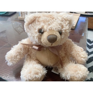 TEDDY HOUSE 泰迪熊 teddy bear