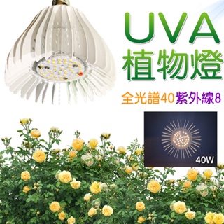 君沛植物燈 LED植物燈 UV植物燈 40瓦 紫外線全光譜 植物燈泡 UV燈泡 E27 紫外線燈泡 台灣製造 保固一年