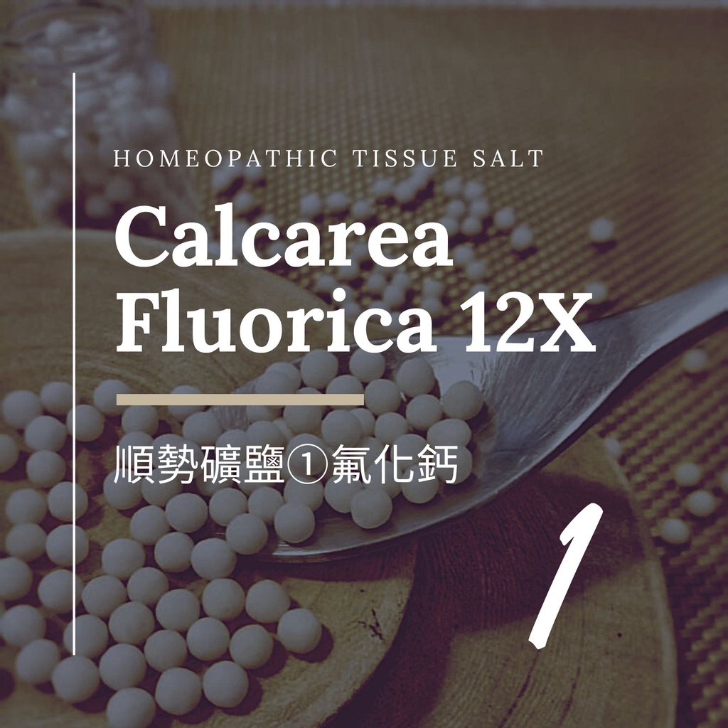 順勢十二組織鹽／礦鹽 Calcarea Fluorica 【①氟化鈣 12X】Tissue Salt 6克 順勢糖球