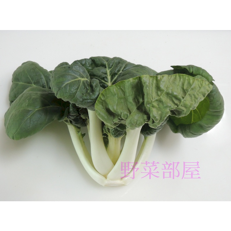 【野菜部屋~】F38 玉雪奶油白菜種子2.2公克 , 矮腳品種 , 肉厚 , 口感好 , 每包16元 ~