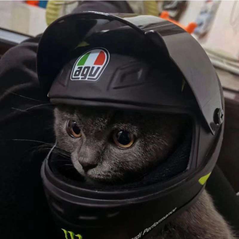 ₪☌☍寵物貓頭盔迷你機車安全帽貓咪小狗帥氣帽子摩托車配件寵物專用帽