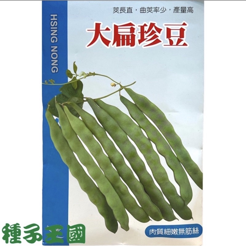 種子王國 大扁珍豆【蔬果種子】菜豆種子 極早生品種 1斤 興農種苗 大包裝 產量高