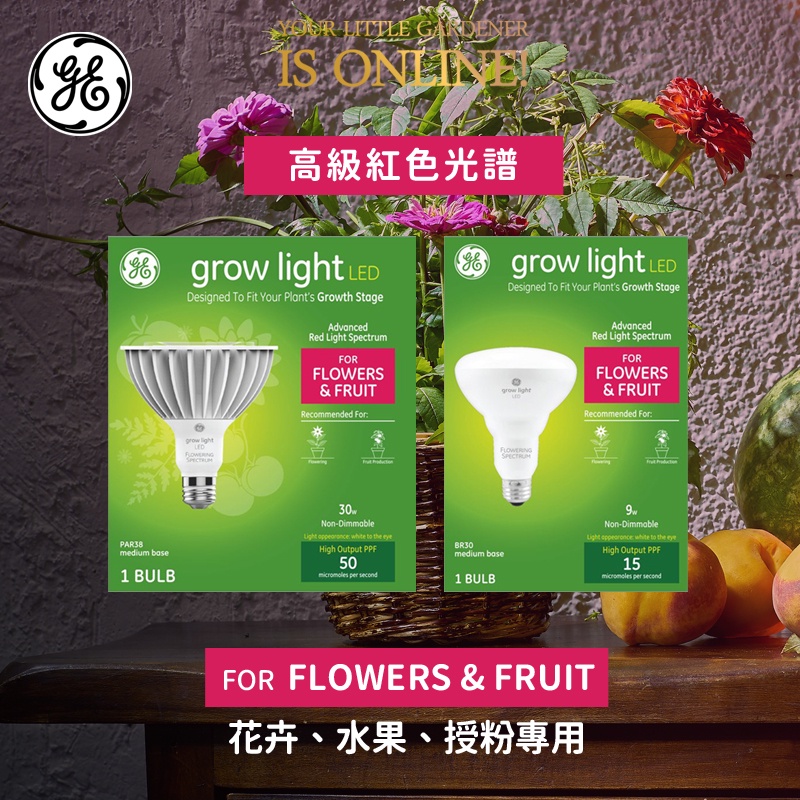 🔴半年保固 快速出貨 原廠進貨 開花授粉 紅光 GE 植物燈 蔬果 30W 9W 觀葉植物 LED植物燈