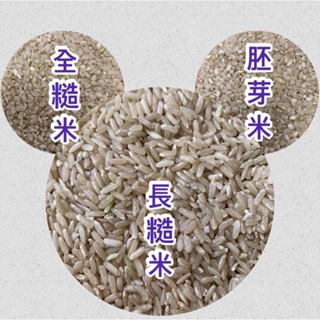 胚芽米 半糙米 全糙米 長糙米 纖維米 健康新主食 Brown Rice