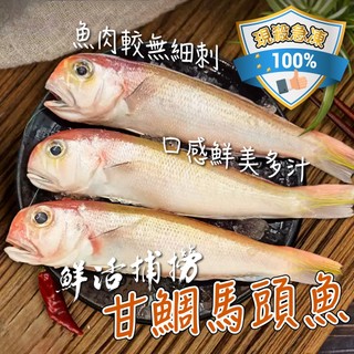 馬頭魚 優惠推薦 22年11月 蝦皮購物台灣