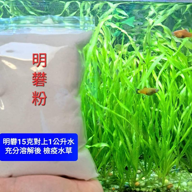 多件優惠100克8元 明礬明礬粉快速檢疫除蟲去螺殺菌水草檢疫入缸前必備良品 水之舞坊 蝦皮購物