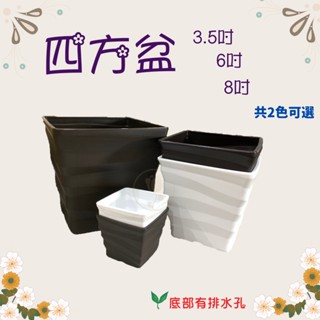 【藝起園夢】忠興四方盆 四方盆 正方盆 多肉盆 方盆 小盆 多肉花盆 花盆 塑膠花盆 多肉仙人掌栽培盆 多肉土壤介質
