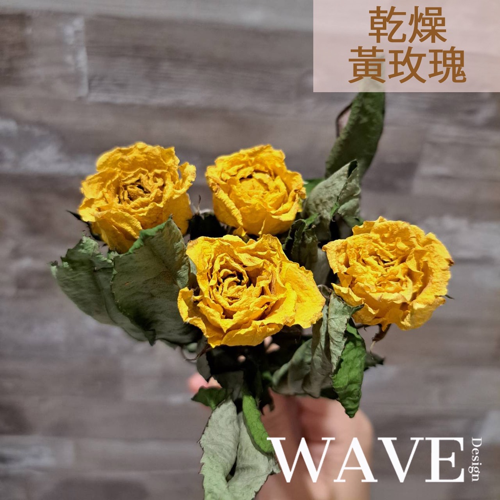 《WAVE Design 》乾燥玫瑰 黃玫瑰 乾燥花材 天然乾燥花 植物果實 花材 花藝材料 拍照道具 永生花 DIY