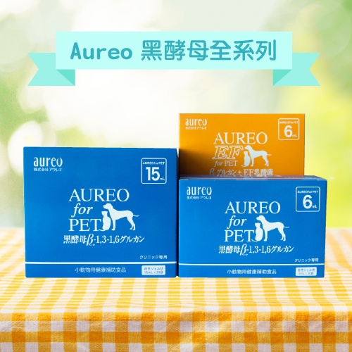 Aureo 黑酵母  黃金黑酵母  EF  (日本原裝進口現貨) 單包裝【含稅】