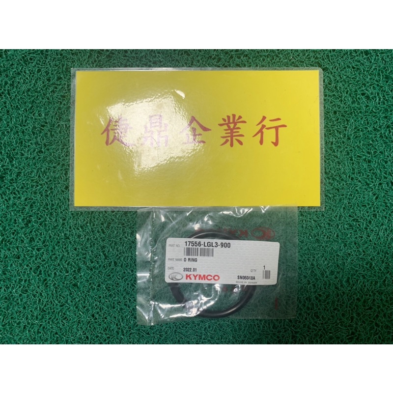 KYMCO 原廠 V2 汽油幫浦 護油圈 料號：17556-LGL3-900