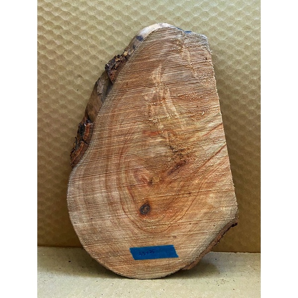 天然高山樟 木材上板料 鹿角蕨 手作材料（大小約35*25公分）16號