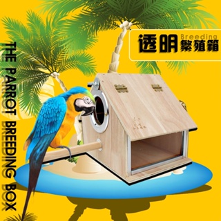BX PET 鸚鵡繁殖箱 房型透明 玄鳳虎皮牡丹用鳥類用品 鳥窩 鳥巢箱 #1