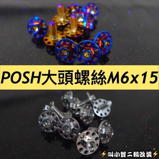 POSH PK7大頭螺絲 POSH大頭螺絲 M6x15mm大牌螺絲 土除螺絲 POSH車牌螺絲 白鐵 鍍鈦 大頭螺絲