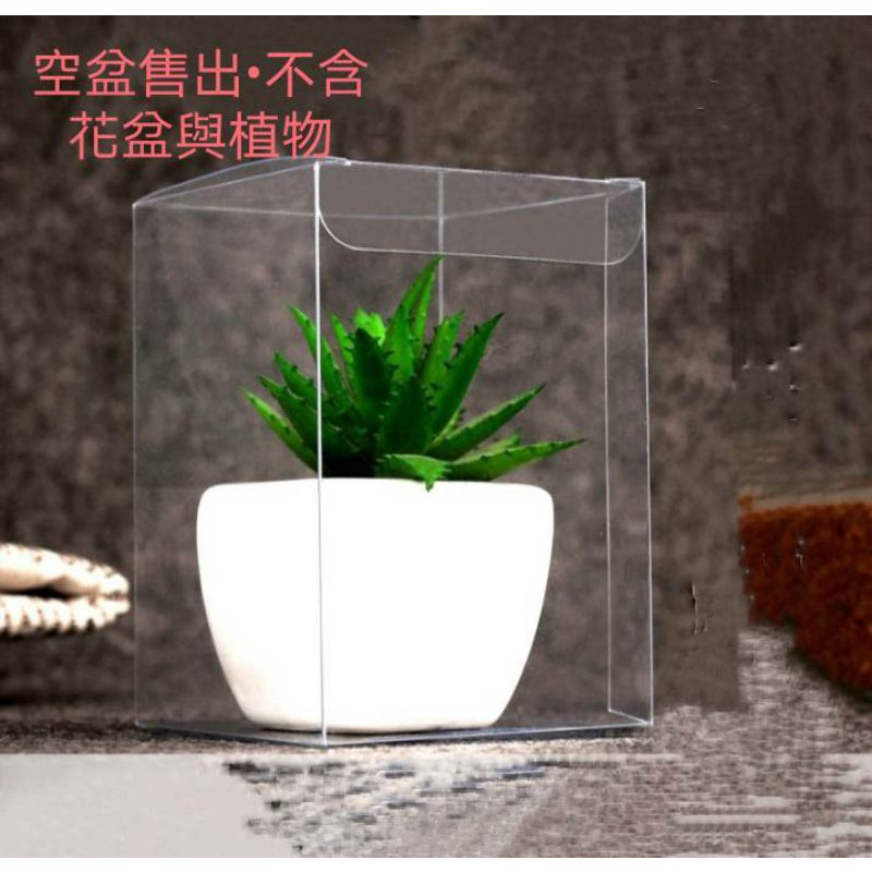 【☘️透明 包裝盒 | 緞帶】PVC 透明盒 透明盒 公仔盒 植物 花盆 包裝盒 園藝