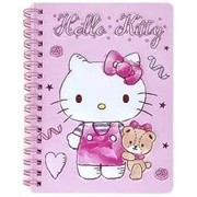 ♥小花花日本精品♥Hello Kitty 雙線圈筆記本 日記本 記事本 立體圖封面 粉色 紅色 ~ 8