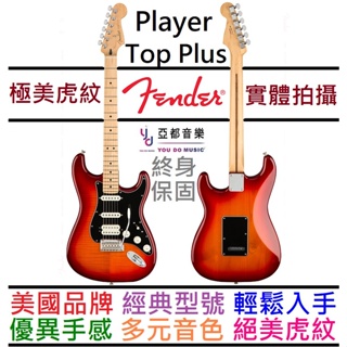 Fender Strat Player Plus Top HSS 電吉他 單單雙 櫻桃漸層 墨廠 終身保固
