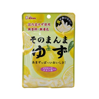 LION獅王 柚子皮 23g【Donki日本唐吉訶德】