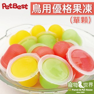 《寵物鳥世界》臺灣製PetBest 派伊梅三味鳥用優格果凍 (單顆)│隨機口味 鸚鵡 鳥點心 水果果凍 GS151