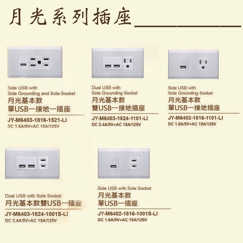 中一 月光基本款 USB插座 附蓋板 USB快充 含發票