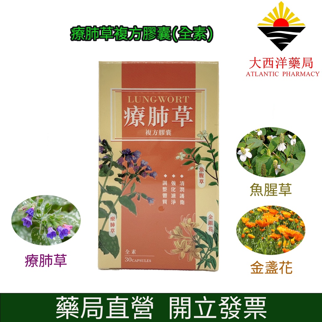 療肺草複方膠囊(全素) 30粒/盒 保健 素食 療肺草 魚腥草 金銀花 蜂膠 尤加利 枇杷葉 薄荷 薑黃 確診者早晚一顆