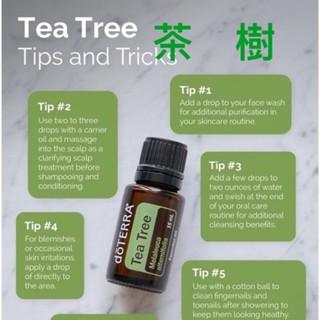 【美國代購】多特瑞茶樹精油 15 ml .EXP 2029.6～美國總公司
