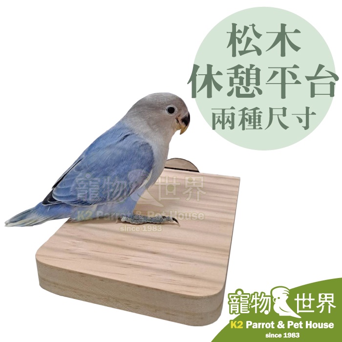 《寵物鳥世界》台灣製 松木休憩平台-單邊鎖│天然原木跳台實木站片啃咬站板架 小型中小型鳥鸚鵡 YU138 YU139