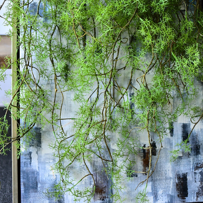 綠植 仿真水草 仿真綠植 植物擺飾 綠化植物 黑骨芒假綠植藤條空調管道纏繞藤蔓裝飾植物塑料吊頂垂吊