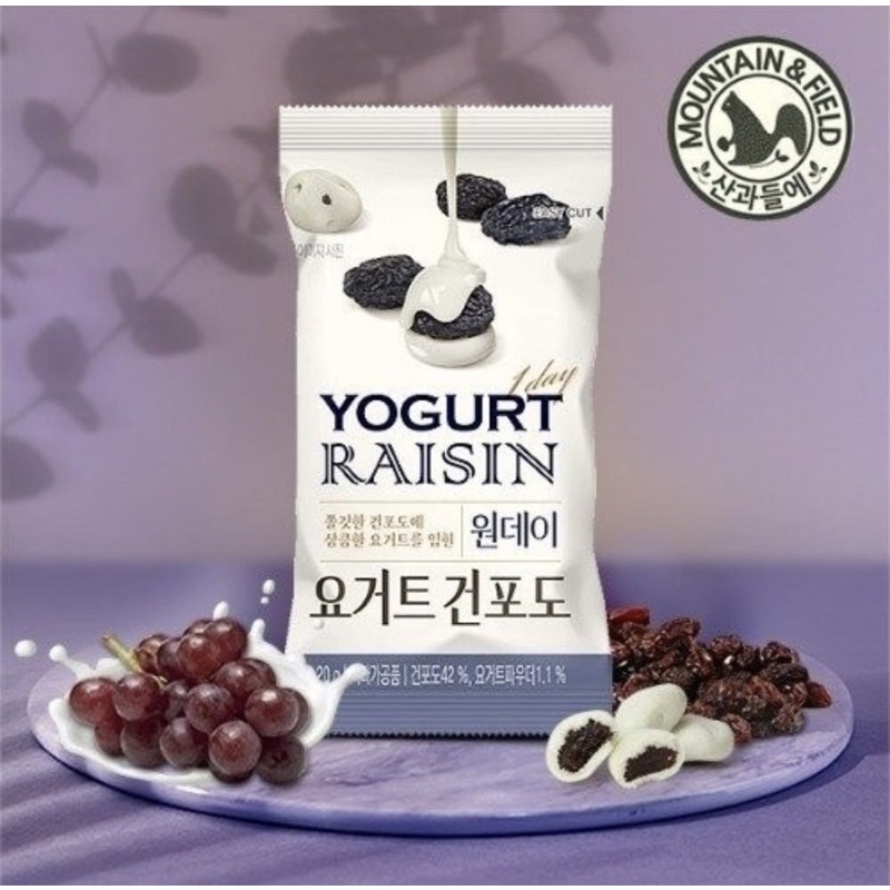 💥韓國 優格葡萄乾 YOGURT RAISIN 20g/包 MOUNTAIN&amp;FIELD 優