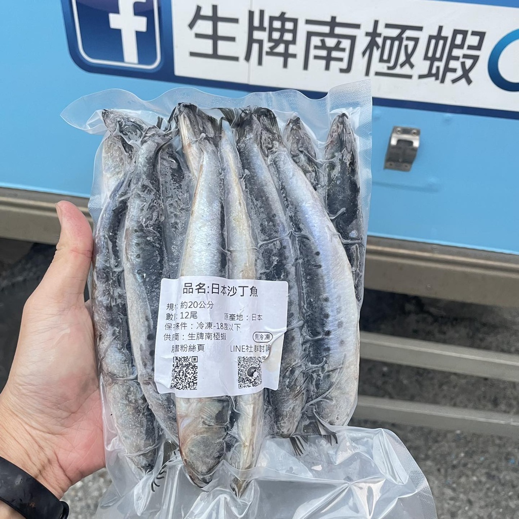 生牌日本沙丁魚 魚肉 釣餌 魚餌 沙丁魚 釣魚 天亞 白帶 魚餌 (限冷凍宅配)