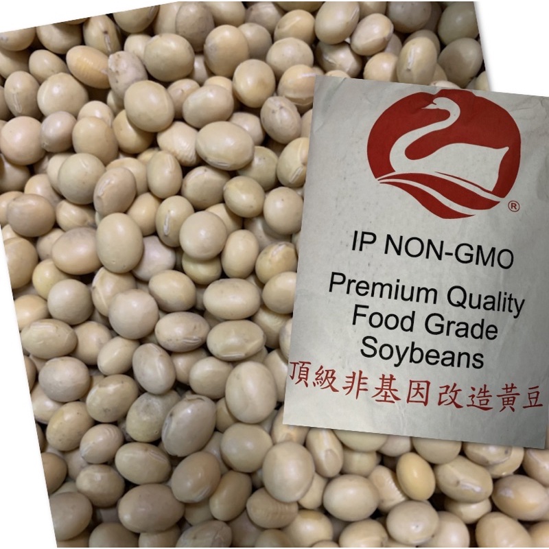 非基因黃豆 天鵝頂級加拿大非基因黃豆 IP非基因改造黃豆 (IP Non-GMO Soybeans)