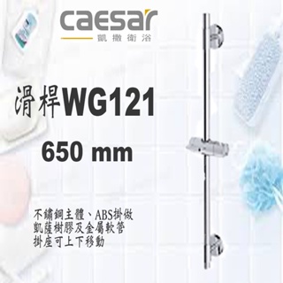 Caesar 凱撒 WG121 WG121B 滑桿 可調整 SPA淋浴用 升降滑桿組 蓮蓬頭滑桿 不鏽鋼 滑桿 把手滑桿