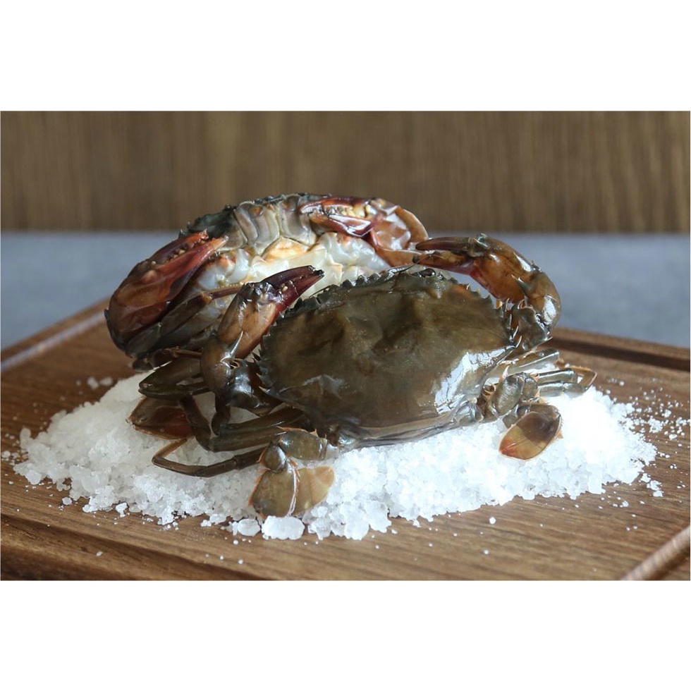 紅毛海鮮市集 活凍軟殼蟹 最大規格6P 新鮮好吃