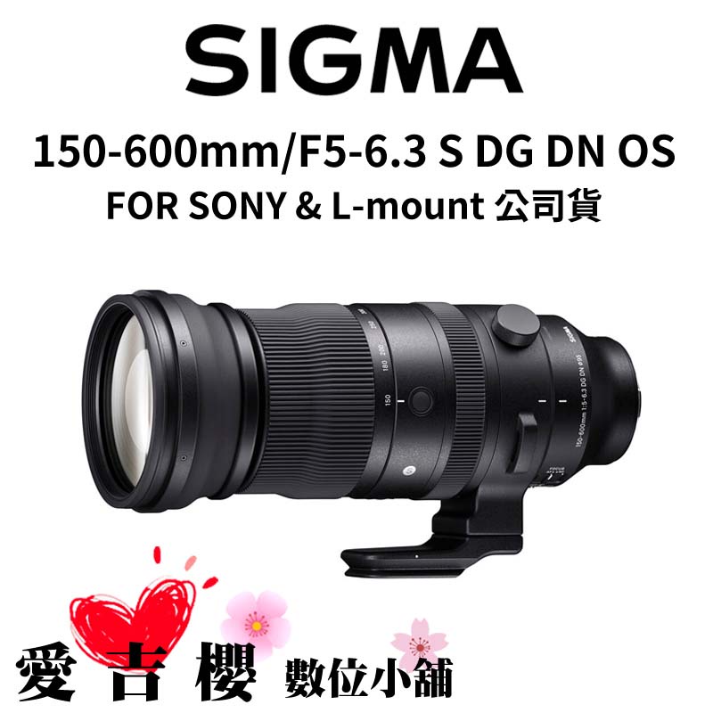 SIGMA Nikon Fマウント レンズ 150-600mm F5-6.3 - レンズ(ズーム)