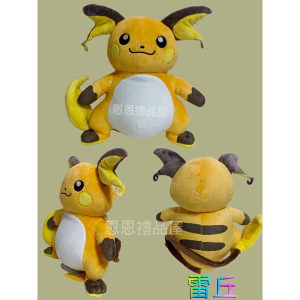 寶可夢娃娃 正版授權 ~12吋~6吋~ 雷丘 呆呆獸 小火龍 阿羅拉雷丘 精靈寶可夢 神奇寶貝 生日送禮